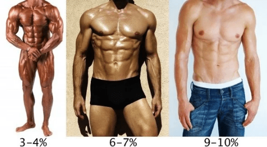 نسبة الدهون في جسم الرجل