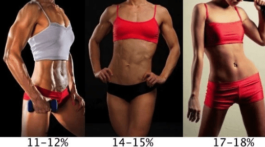 نسبة الدهون في جسم النساء