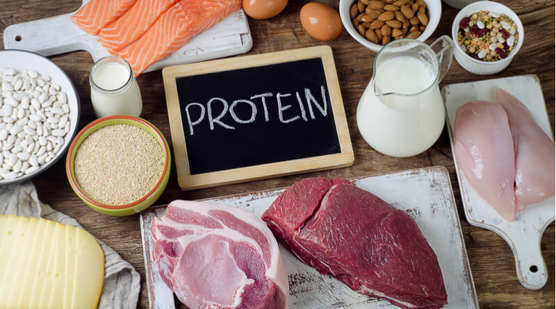 ريجيم البروتين